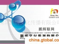 提供企業(yè)管理咨詢服務