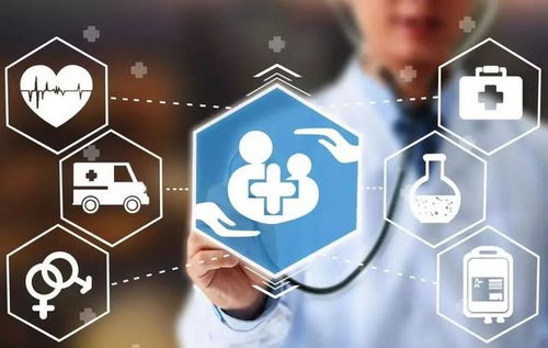 大健康產業平臺招商加盟與企業管理咨詢 戰略機遇與實踐指南