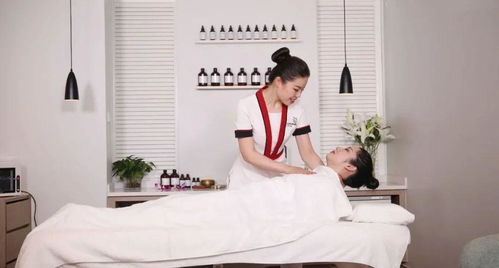 美容師國家職業(yè)等級(jí)認(rèn)定教材拍攝圓滿收官 技術(shù)標(biāo)準(zhǔn)與服務(wù)規(guī)范的視覺詮釋