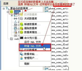 Navicat 高效、強大的跨平臺數據庫管理工具